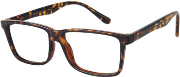 SFE-11649 glasses in Tortoise