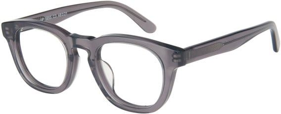 SFE-11598 glasses in Grey