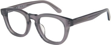 SFE-11598 glasses in Grey