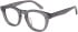 SFE-11598 glasses in Grey