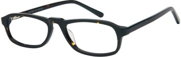 SFE-11592 glasses in Tortoise