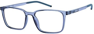 SFE-11583 glasses in Clear/Grey