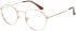 SFE-11536 glasses in Gold