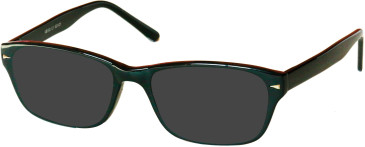 SFE-11501 sunglasses in Black