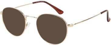 SFE-11536 sunglasses in Gold