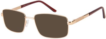 SFE-11534 sunglasses in Gold