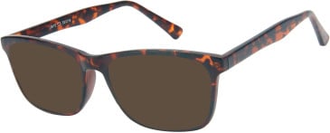 SFE-11520 sunglasses in Tortoiseshell