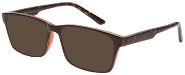 SFE-11519 sunglasses in Black/Honey
