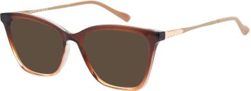 SFE-11554 sunglasses in Brown