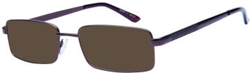 SFE-11568 sunglasses in Brown