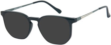 SFE-11556 sunglasses in Black