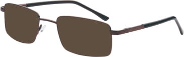 SFE-11680 sunglasses in Brown