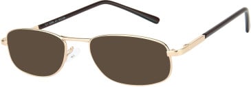SFE-11666 sunglasses in Gold