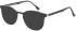 SFE-11664 sunglasses in Black