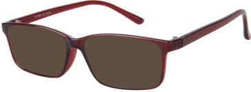 SFE-11656 sunglasses in Maroon