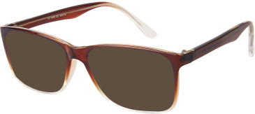 SFE-11653 sunglasses in Brown/Clear