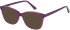 SFE-11615 sunglasses in Purple