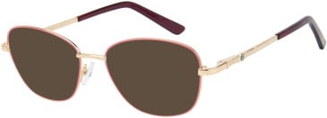 SFE-11604 sunglasses in Pink/Gold