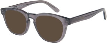 SFE-11598 sunglasses in Grey