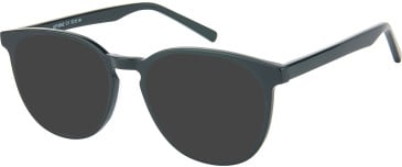 SFE-11596 sunglasses in Black