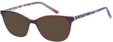 SFE-11509 sunglasses in Brown