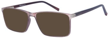 SFE-11515 sunglasses in Brown