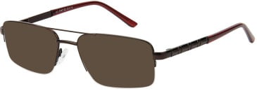 SFE-11530 sunglasses in Brown