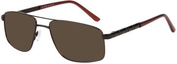 SFE-11533 sunglasses in Brown