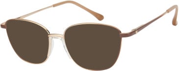 SFE-11605 sunglasses in Gold/Brown