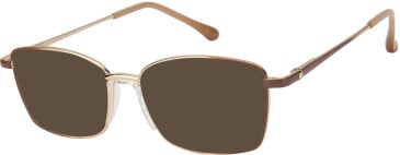 SFE-11607 sunglasses in Gold/Brown