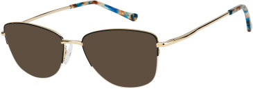 SFE-11609 sunglasses in Black/Gold