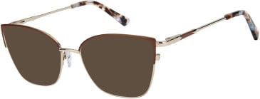 SFE-11611 sunglasses in Brown/Gold