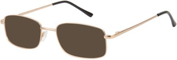 SFE-11630 sunglasses in Gold