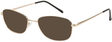 SFE-11633 sunglasses in Gold