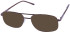 SFE-11675 sunglasses in Bronze