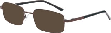SFE-11681 sunglasses in Brown