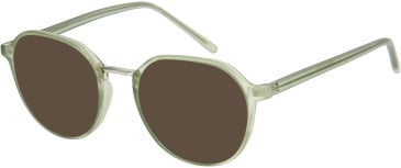 SFE-11670 sunglasses in Olive
