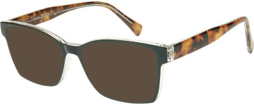 SFE-11667 sunglasses in Brown