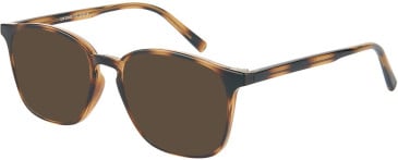 SFE-11663 sunglasses in Tortoiseshell