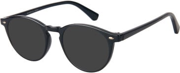 SFE-11641 sunglasses in Black