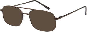 SFE-11639 sunglasses in Brown