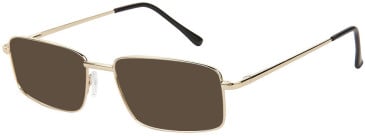 SFE-11636 sunglasses in Gold