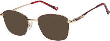 SFE-11614 sunglasses in Maroon/Gold