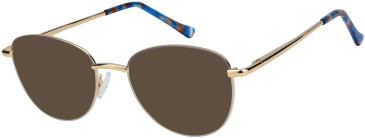 SFE-11608 sunglasses in Grey/White