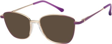 SFE-11606 sunglasses in Gold/Purple