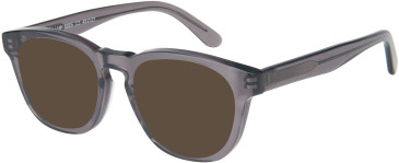 SFE-11598 sunglasses in Grey