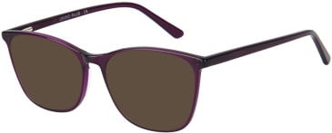 SFE-11586 sunglasses in Purple