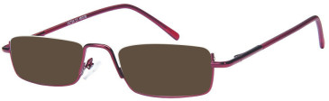 SFE-11574 sunglasses in Maroon