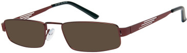 SFE-11543 sunglasses in Burgundy