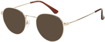 SFE-11535 sunglasses in Gold